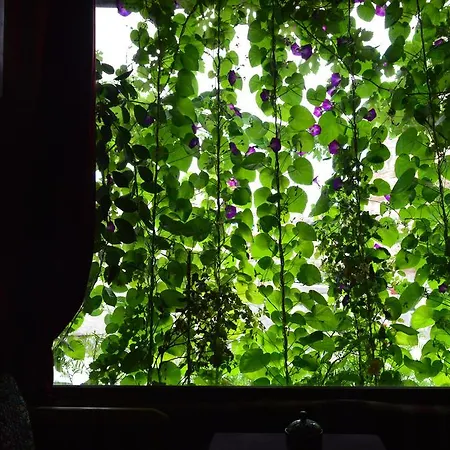 Vandrerhjem In Peace Cave *