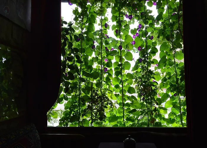 Vandrerhjem In Peace Cave *